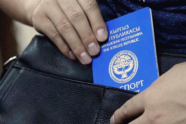 Государственные программы получения гражданства России для киргизов